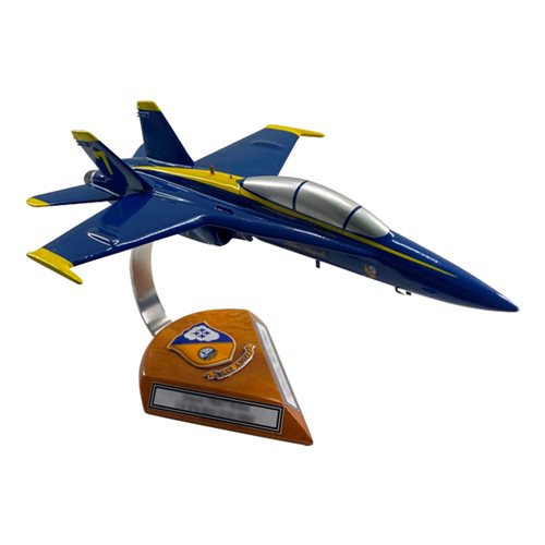 Design Your Own F/A-18B Hornet Custom Airplane Model - View 5