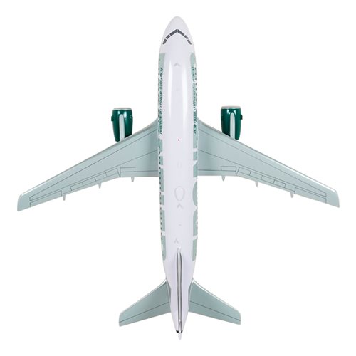 Frontier Airlines Airbus A319-111 Custom Aircraft Model - View 6