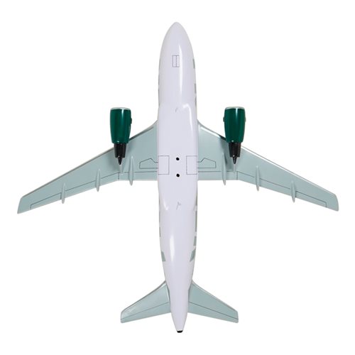 Frontier Airlines Airbus A319-111 Custom Aircraft Model - View 7