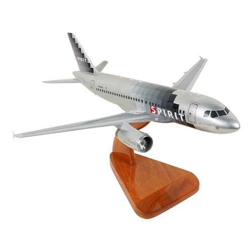 Spirit Airlines A319-132 Custom Aircraft Model - View 5