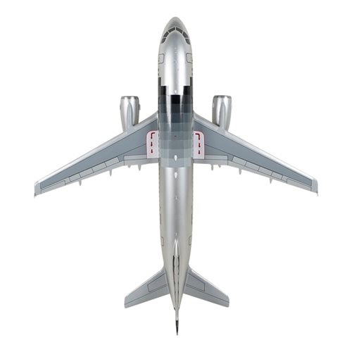 Spirit Airlines A319-132 Custom Aircraft Model - View 6