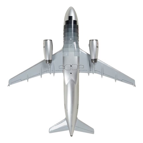 Spirit Airlines A319-132 Custom Aircraft Model - View 7