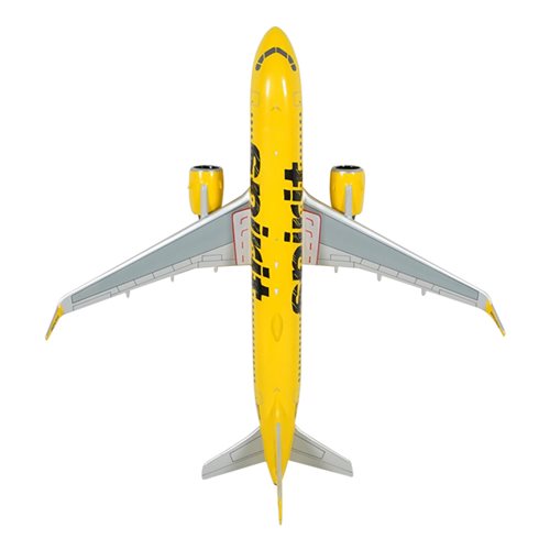 Spirit Airlines A320-271N Custom Aircraft Model - View 6