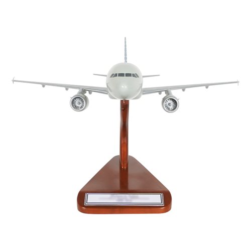 American Airlines A321-231 Custom Aircraft Model - View 3