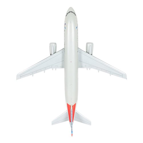 American Airlines A321-231 Custom Aircraft Model - View 6