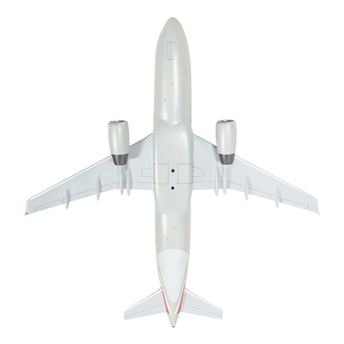 American Airlines A321-231 Custom Aircraft Model - View 7
