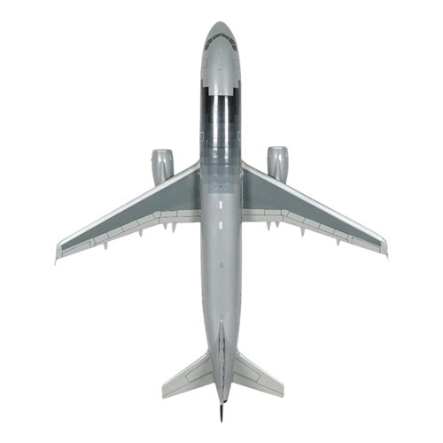 Spirit Airlines A321-231 Custom Aircraft Model - View 6