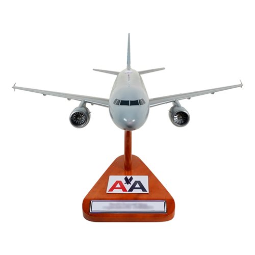 American Airlines A320-214 Custom Aircraft Model - View 3
