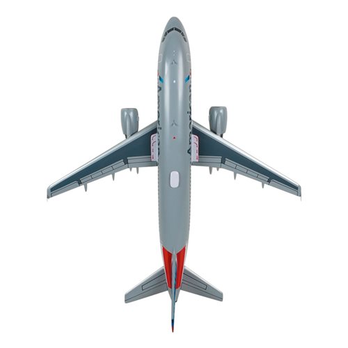 American Airlines A320-214 Custom Aircraft Model - View 6
