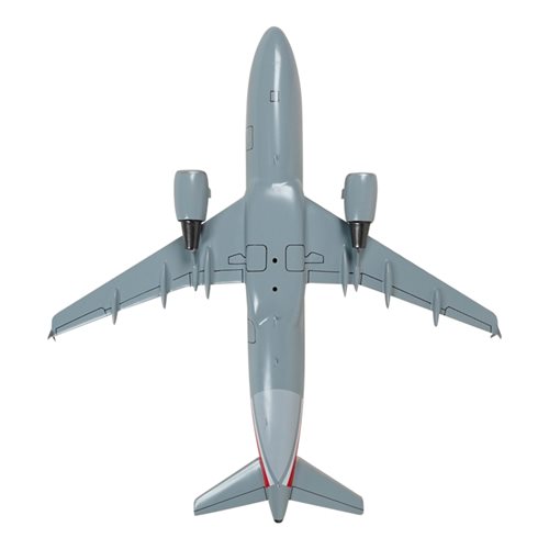 American Airlines A320-214 Custom Aircraft Model - View 7