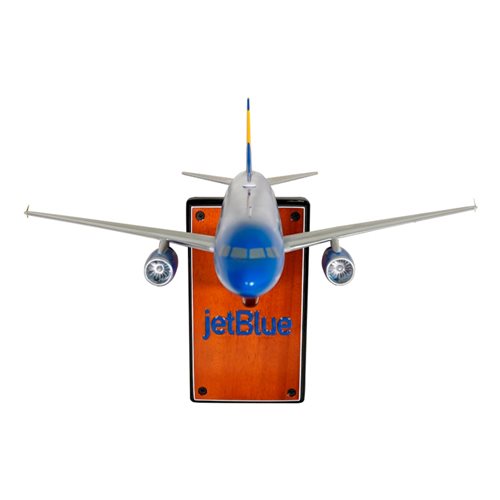 Jet Blue Airways Airbus A320 Custom Aircraft Model - View 3