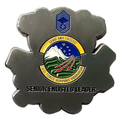 142 FSS Command Chief Master Sergeant Challenge Coin - View 2