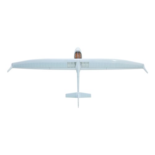 Ruppert Archaeopteryx Glider Custom Aircraft Model - View 6