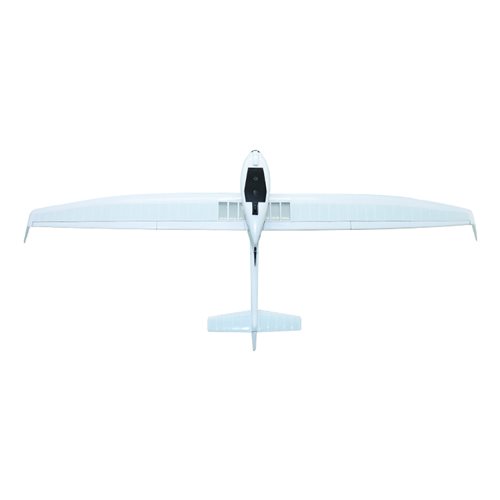 Ruppert Archaeopteryx Glider Custom Aircraft Model - View 7