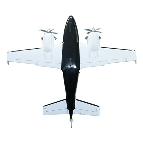 Beechcraft Royal Duke Custom Aircraft Model - View 7