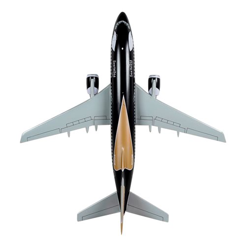 Southwest Boeing 737-3H4 Custom Airplane Model  - View 6