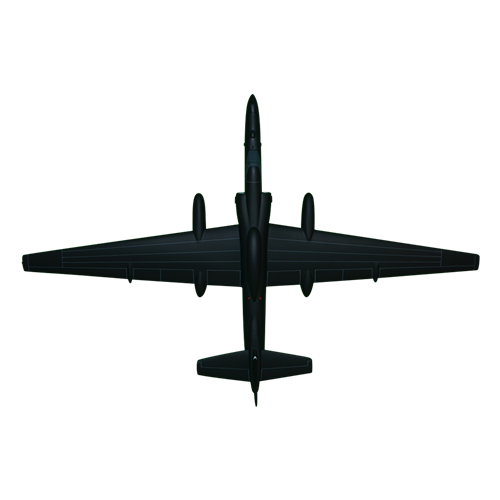 5 RS U-2 Custom Airplane Model  - View 5