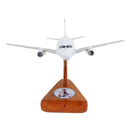 USAF NT-43A Custom Airplane Model  - View 3