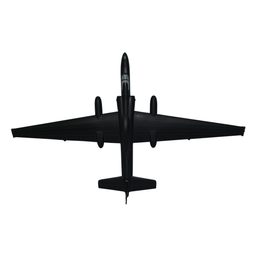 9 RW U-2 Custom Airplane Model  - View 5
