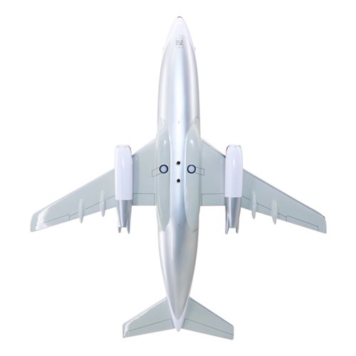 Delta Express Boeing 737-200 Custom Airplane Model - View 7
