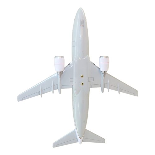 Continental Airlines Boeing 737-300 Custom Airplane Model  - View 7