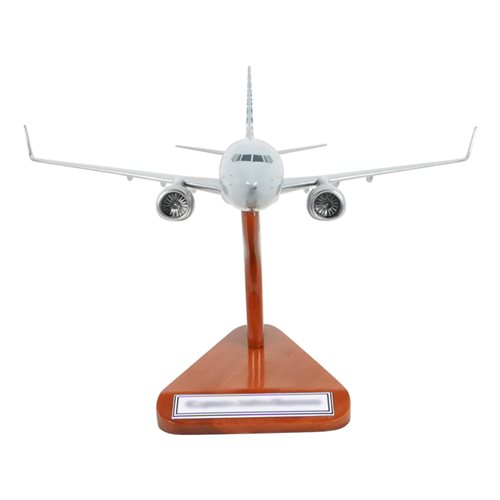 Airlines Boeing 737-823 Custom Airplane Model  - View 3