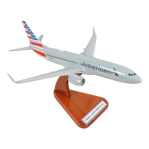 Airlines Boeing 737-823 Custom Airplane Model  - View 5