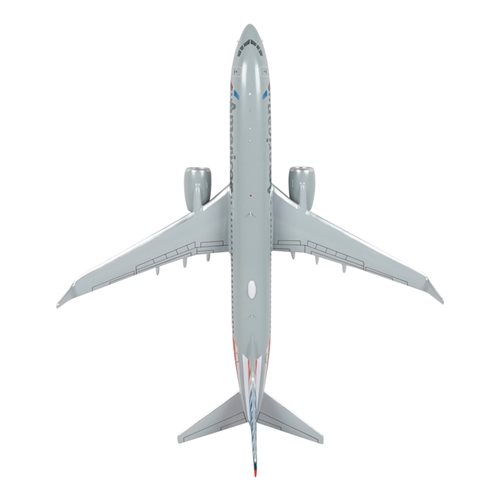 Airlines Boeing 737-823 Custom Airplane Model  - View 6