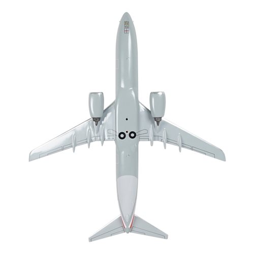 Airlines Boeing 737-823 Custom Airplane Model  - View 7