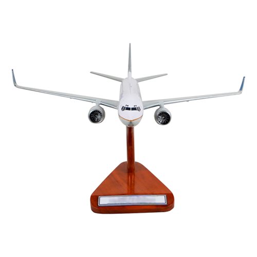 Continental Airlines Boeing 737-900 Custom Airplane Model  - View 3