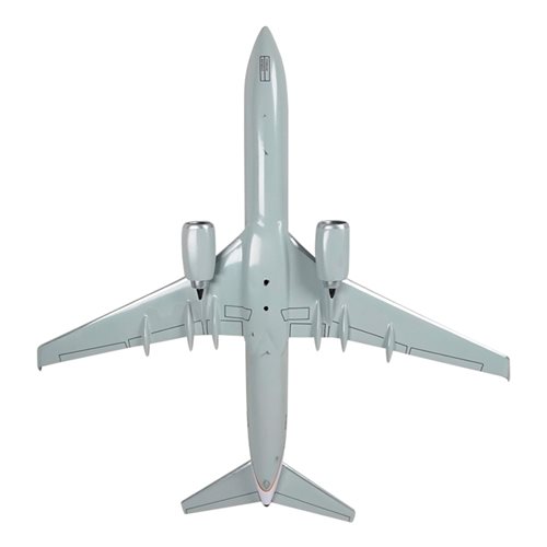 Continental Airlines Boeing 737-900 Custom Airplane Model  - View 7