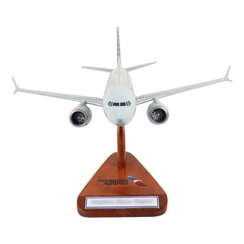 Airlines Boeing 737 Max 8 Custom Airplane Model  - View 3