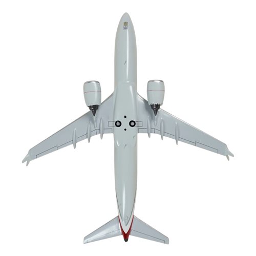 Airlines Boeing 737 Max 8 Custom Airplane Model  - View 7