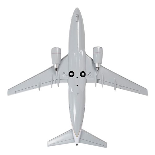 Continental Airlines Boeing737-524 Custom Airplane Model  - View 7