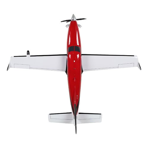 SOCATA TBM 930 Airplane Model - View 6