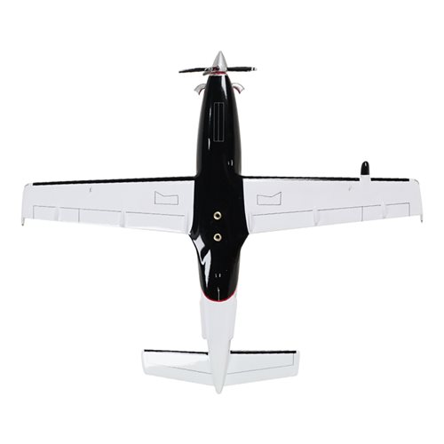 SOCATA TBM 930 Airplane Model - View 7