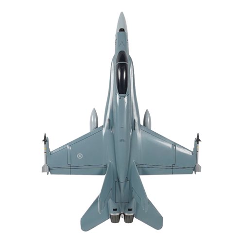 Design Your Own CF-18 Hornet Custom Airplane Model - View 6