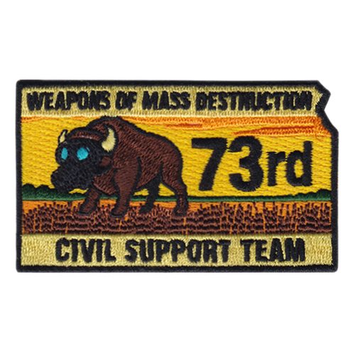 73 WMD Civil Support Team Patch