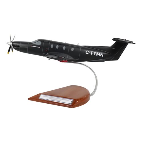 Design Your Own Pilatus PC-12-45 Custom Airplane Model - View 2