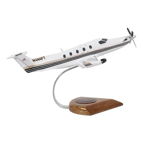 Design Your Own Pilatus PC-12-45 Custom Airplane Model - View 4