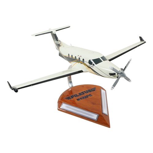 Design Your Own Pilatus PC-12-45 Custom Airplane Model - View 5