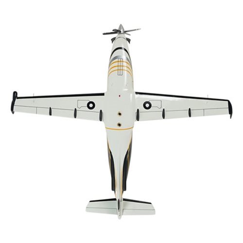 Design Your Own Pilatus PC-12-45 Custom Airplane Model - View 8