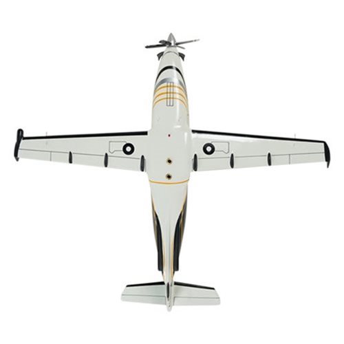 Design Your Own Pilatus PC-12-45 Custom Airplane Model - View 9