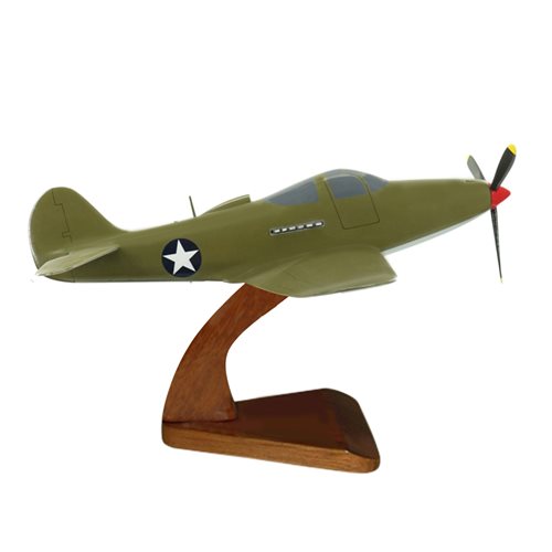 Design Your Own P-39 Custom Airplane Model  - View 6