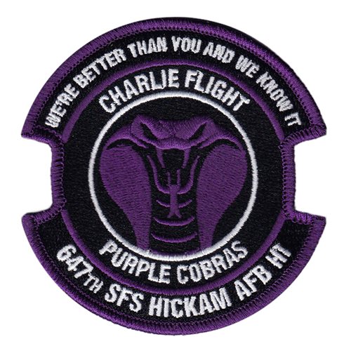 647 SFS Hickam AFB HI Patch