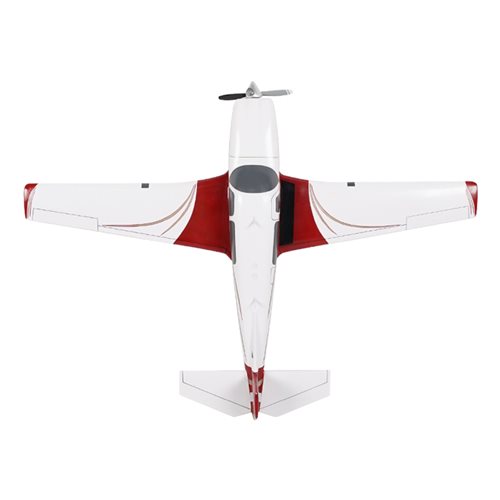 Mooney M20TN Custom Airplane Model  - View 6