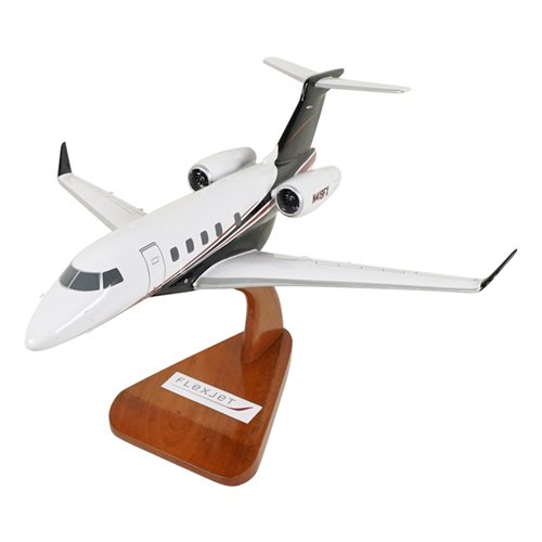 Embraer Praetor 500 Custom Airplane Model 