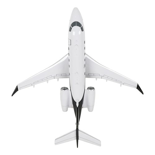 Embraer Praetor 500 Custom Airplane Model  - View 6