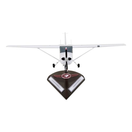 Cessna 172S Skyhawk SP Custom Aircraft Model - View 3