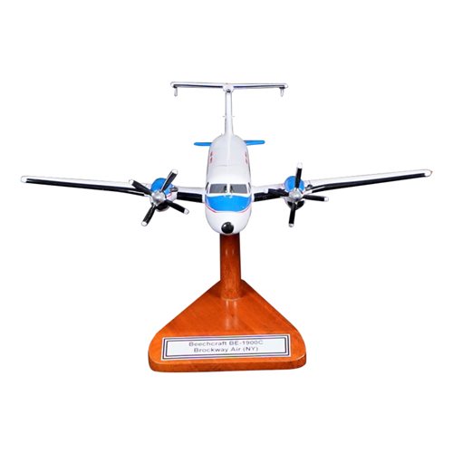 Piedmont Commuter Beechcraft BE-1900C Custom Aircraft Model - View 3